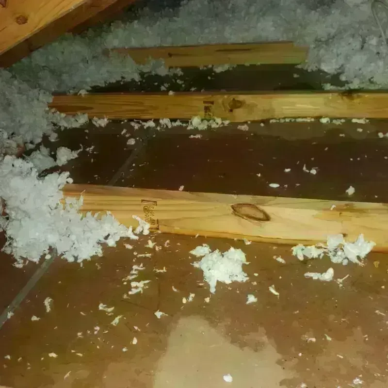 Attic Water Damage in Bayview, CA