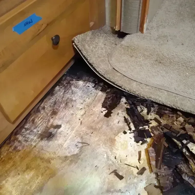 Wood Floor Water Damage in Bayview, CA